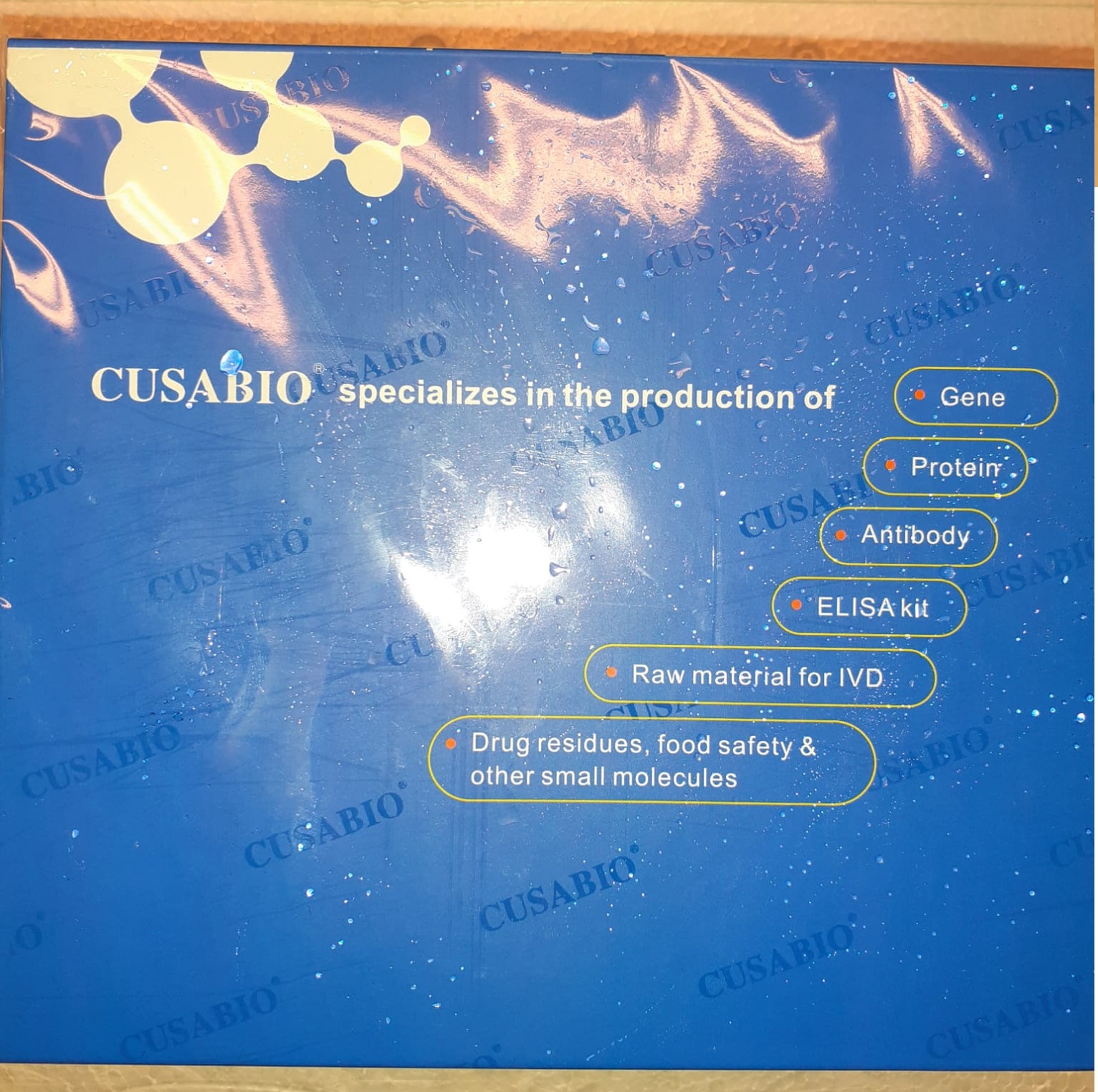 Development of Recombinant Antibody Cusabio
