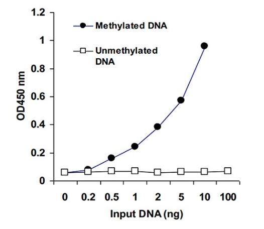 MethylFlash Methylated DNA Epigentek